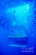 Aquarius Underwater Ocean Laboratory Photograph by Science Source