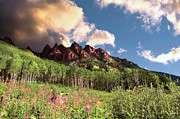 Aspen Springtime Photograph by Endre Balogh