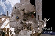 Astronaut Sunita L. Williams Photograph by Nasa Astronaut Sunita L. Williams Photograph by Nasa