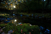 Autumn begins at the Roman Bridge Photograph by B Cash