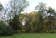 Autumn landscape in Massachusetts Photograph by Kim Galluzzo
