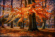 autumn skirt III Photograph by Hannes Cmarits