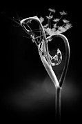 B is for Bronze Fennel Photograph by Rebecca Sherman