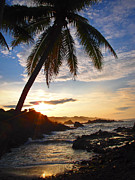 Bahia Caletilla Photograph by Skip Hunt