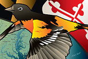 Baltimore Oriole Digital Art by Joe Barsin