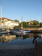 Barche da pesca Cervia Porto Photograph by Suzanne Giuriati Cerny