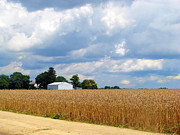 Barn Clouds Photograph by Clara Sue Beym