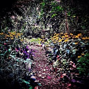 Beautiful Garden Path - New York City Photograph by Vivienne Gucwa