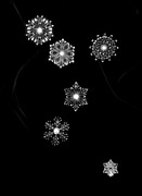 Blank front snowflake card Photograph by B Cash
