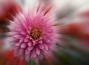 Blast off Photograph by Jean Noren