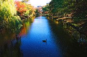 Boston Photograph by Claude Taylor