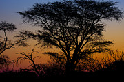 Blue Goes Orange Photograph by Andy Bitterer