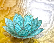 Blue Lotus Photograph by Diana Haronis