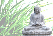 Buddha Grass Photograph by Hannes Cmarits