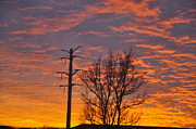 Burning Sky Photograph by Dejan Jovanovic