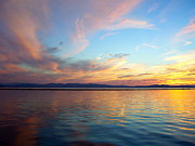 Butterfly Sky Photograph by Mike Reilly