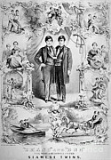 Chang And Eng Bunker, The Original Photograph by Science Source