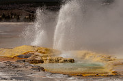 Clepsydra Geyser Yellowstone National Park Photograph by Bruce Gourley