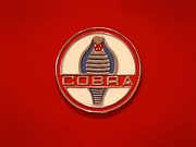 COBRA Emblem Photograph by Mike McGlothlen