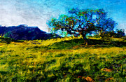 Daydream Oak On The Hill Painting by Stella Violano