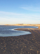 Delaware Bay at Cape Henlopen - Lewes DE Photograph by Roche Fine Art