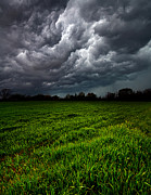 Deluge Photograph by Phil Koch