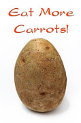 Eat More Carrots Photograph by Andee Design