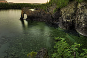 Elephant rests in the green lagoon   Photograph by Jakub Sisak