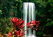 Elixir of LIfe Photograph by HweeYen Ong