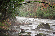 Enhanced Fog on the River Photograph by Michael Waters