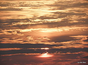 Explosion Of Color Photograph by Kim Galluzzo Explosion Of Color Photograph by Kim Galluzzo
