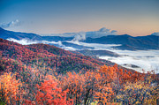 Fall Fog 1 Photograph by Joye Ardyn Durham