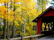 Fall in New England  Photograph by Kim Galluzzo