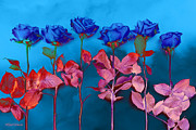 Fantasy Blues Photograph by Michelle Constantine
