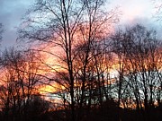 Fire In The Sky Photograph by Kim Galluzzo