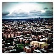 Flying Over Queens Photograph by Natasha Marco