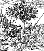 Gathering Pepper In India, 1579 Photograph by Science Source