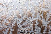 Glass Designs Photograph by Todd Blanchard