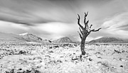 Glencoe winter Photograph by Grant Glendinning Glencoe winter Photograph by Grant Glendinning