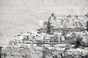 Grand Canyon Overlook BW Photograph by Julie Niemela
