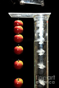 Gravity Comparison Photograph by Ted Kinsman