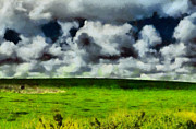 Green field Photograph by Michael Goyberg