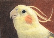 Happy Mitchie - ACEO Drawing by Ana Tirolese