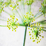 Harvest Starburst 1 Mixed Media by Linda Woods Harvest Starburst 1 Mixed Media by Linda Woods