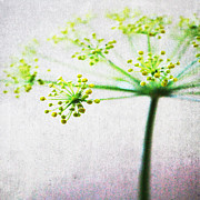 Harvest Starburst 2 Mixed Media by Linda Woods
