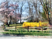 House With Magnolias and Forsythia Photograph by Susan Savad House With Magnolias and Forsythia Photograph by Susan Savad