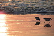 Hurry Before The Wave Comes Photograph by Kim Galluzzo Hurry Before The Wave Comes Photograph by Kim Galluzzo