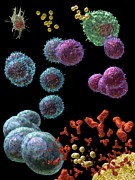 Immune Response Antibody 5 Digital Art by Russell Kightley