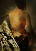 In a Forest Fane Photograph by Rebecca Sherman