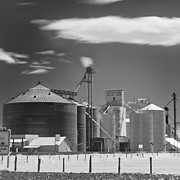 IR Palouse  WA Photograph by Tony Locke